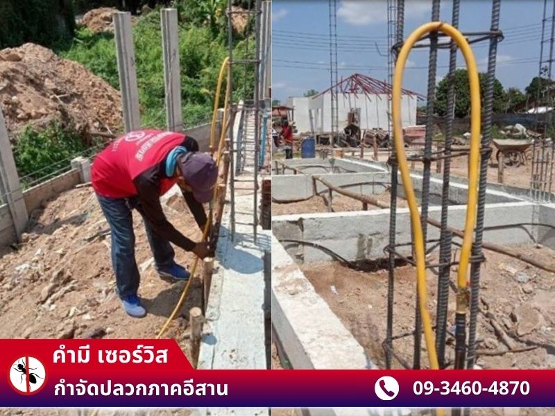 กำจัดปลวก เแมลง หนู กาฬสินธุ์ สกลนคร กำจัดปลวก เแมลง หนู กาฬสินธุ์ สกลนคร